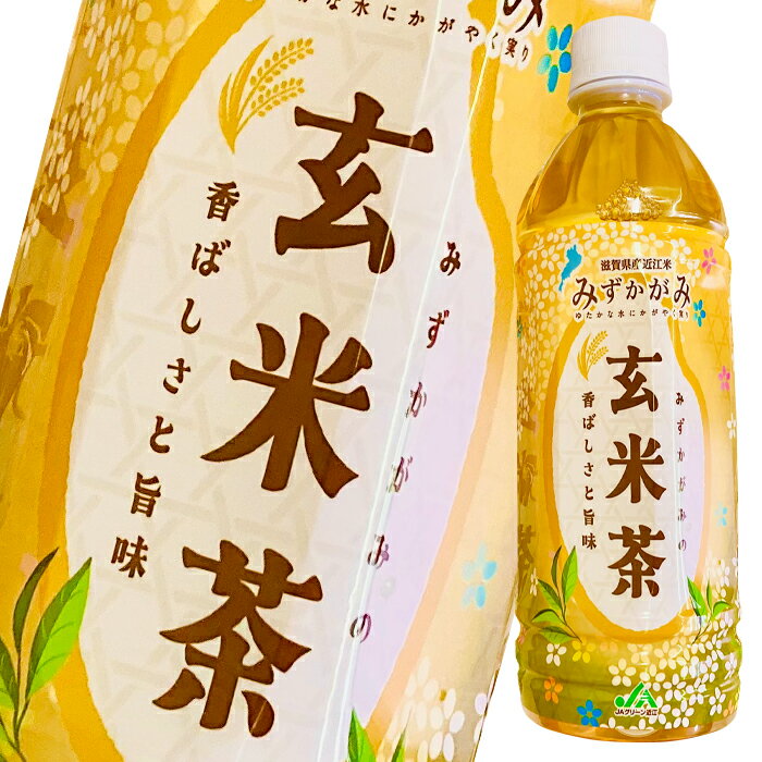 滋賀県産 近江米みずかがみの玄米茶500ml×1ケース（全24本） 送料無料