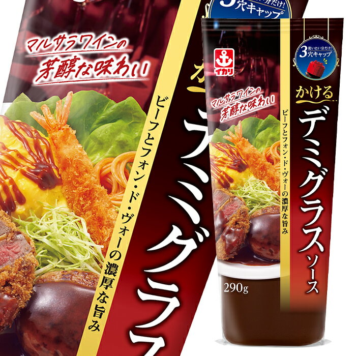 先着限りクーポン付 イカリソース かけるデミグラスソース290g×2ケース(全40本) 送料無料【co】