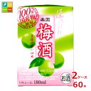 清洲桜醸造 楽園 梅酒 ミニ 180ml紙パック×2ケース(全60本)送料無料