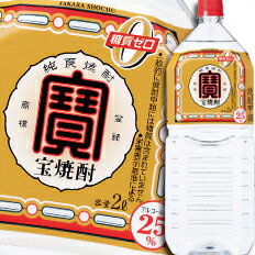 宝酒造 宝焼酎25度ペットボトル2L×2ケース（全12本） 送料無料