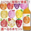 【送料無料】中埜酒造　國盛　果汁リキュールシリーズ選べる選り取り720ml×6本セット