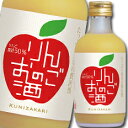 中埜酒造 國盛 りんごのお酒300ml×2ケース（全24本） 送料無料