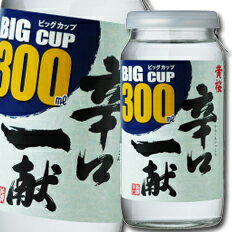 黄桜 辛口一献300mlビッグカップ×2ケース（全40本） 送料無料