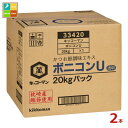 先着限りクーポン付 キッコーマン ボニコンU20kgBIB×2本※コックはついていません 送料無料【co】