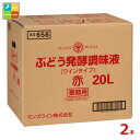 先着限りクーポン付 マンズワイン ぶどう発酵調味液赤20LBIB×2本 送料無料【co】