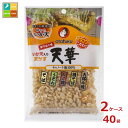 先着限りクーポン付 オタフク ソース 専門店の味いか天入り天かす 天華50g ×2ケース(全40本)送料無料【co】