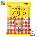 井村屋 カスタードプリン 袋入(58g×4個入)×2ケース(全20本)送料無料