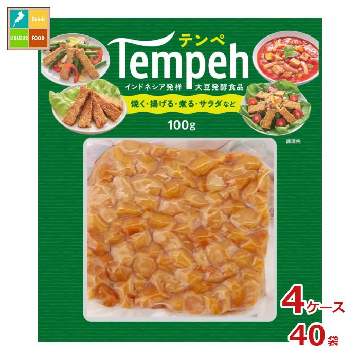 ヤマク テンペ100g×4ケース(全40本)送料無料 新商品 新発売