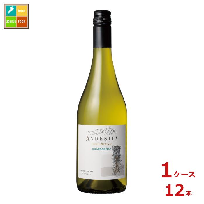 アンデシータ シャルドネ 白750ml瓶×1ケース（全12本） 送料無料