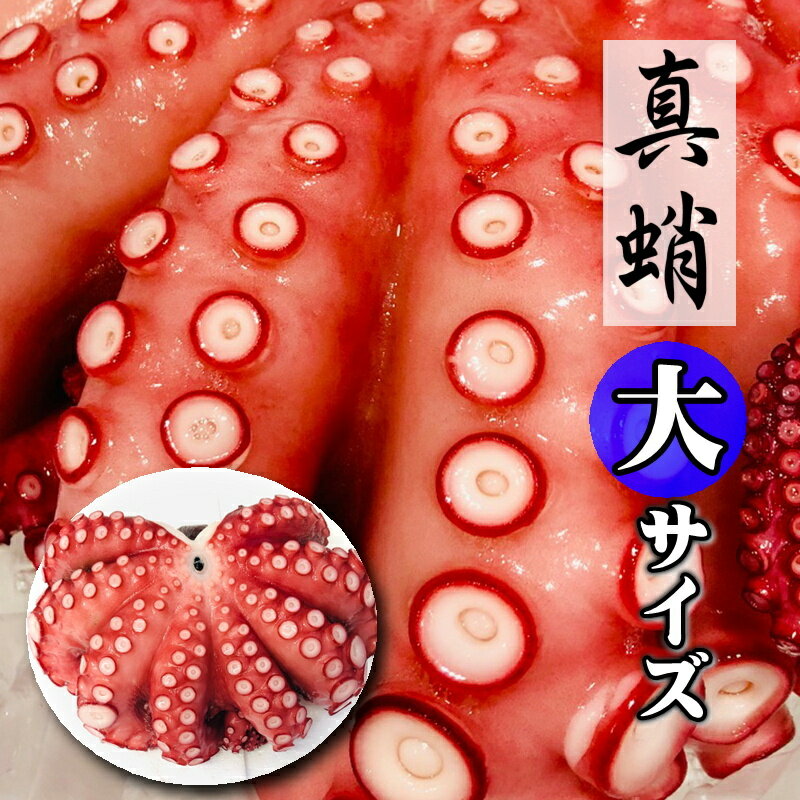 真蛸 たこ チルドでお届け (ボイル済み) 1杯 (約1kg) 大サイズ 色々な料理にお使いいただけます さしみ 刺し身 盛り合わせ 魚 鮮魚