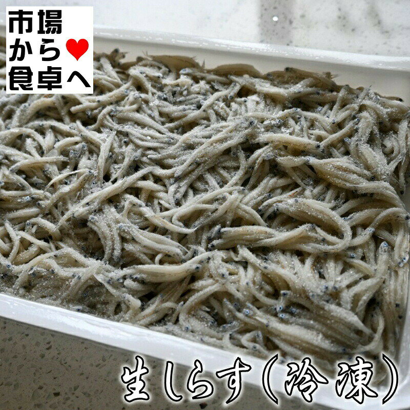 生しらす (冷凍) 2パック(1パック500g入り)【静岡県御前崎近海産】刺身用、生の鮮度に近い冷凍シラスです【冷凍便】 umaimono205-10001921 うまいもの 楽天市場店 サンプル画像2