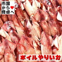 ボイルやりいか 3kg入り 【チルド業務用】おつまみ・サラダ・煮物・焼き物に【冷蔵便】