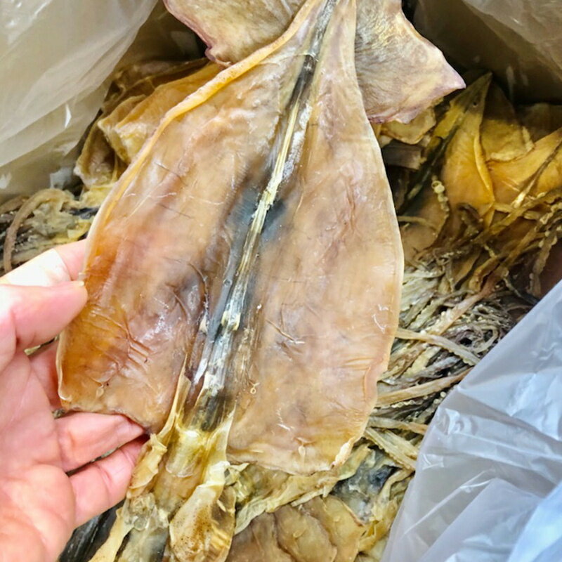 干し するめいか 10枚入り（約500g）北海道産 【酒の肴に最適】 噛めば噛むほどに美味しい、酒の肴に最適です。