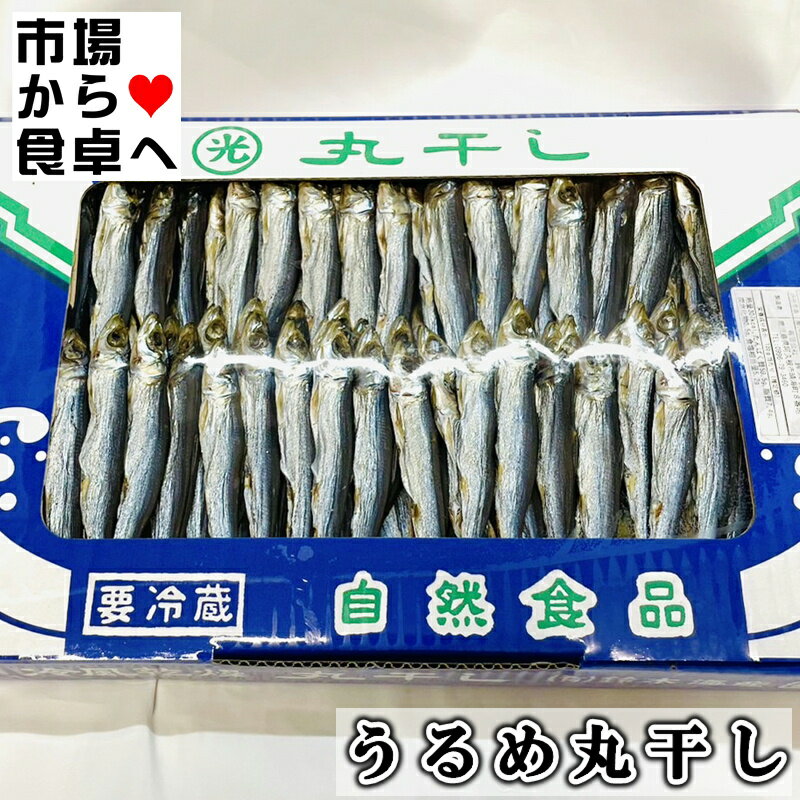 うるめいわし丸干し 1kg【上乾・鹿児島県産】しっかり...