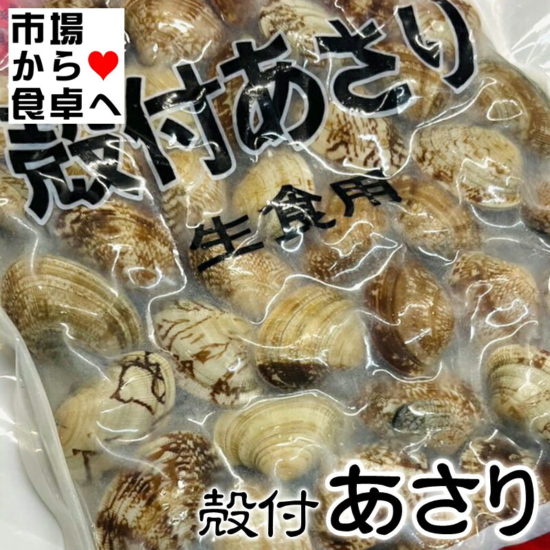 あさり (冷凍) 殻付 500g【加熱調理済み・解凍後そのま...