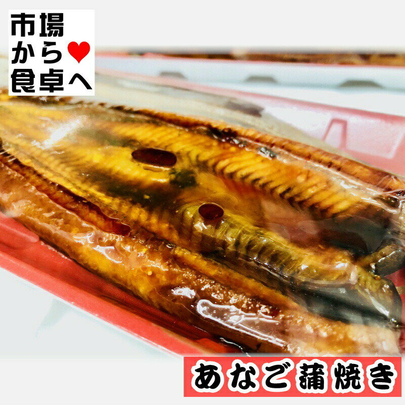 あなご蒲焼き 12パック【国産・陸沖の穴子を使用しています】あなご丼・お寿司に【冷凍便】 2