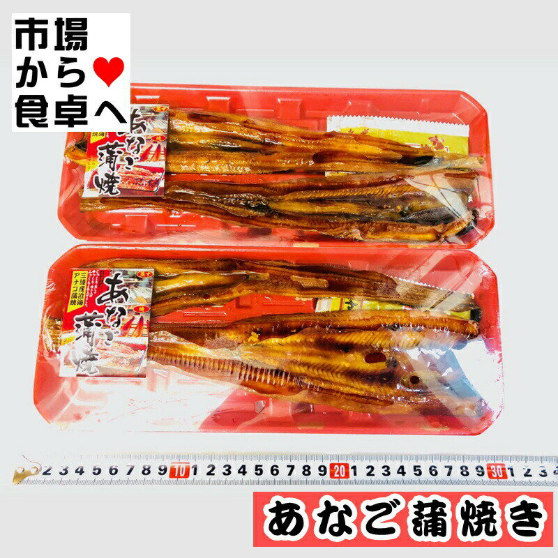 あなご蒲焼き 12パック【国産・陸沖の穴子を使用しています】あなご丼・お寿司に【冷凍便】 3