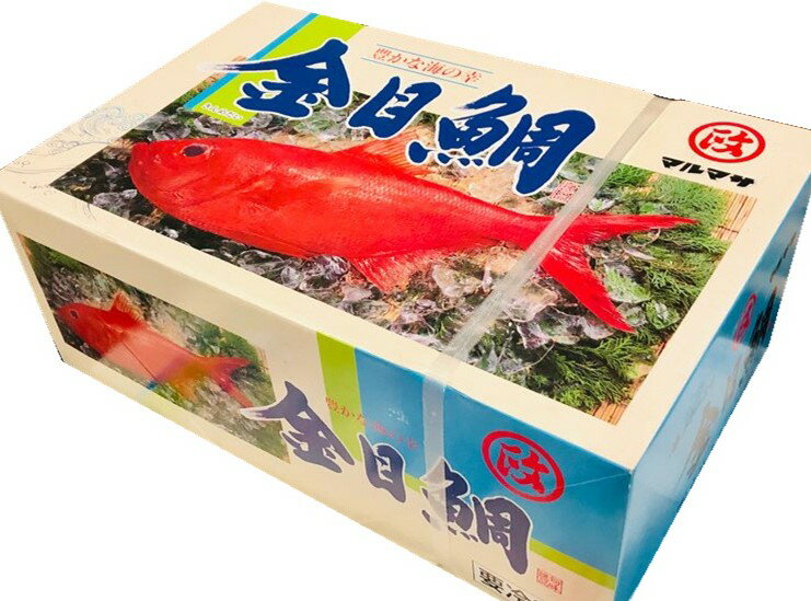 金目鯛 10kg 業務用 (1枚200〜300g)【フィレーIQF・バラ凍結で便利】定食屋・旅館・磯料理屋などでお使いいただけます【冷凍便】