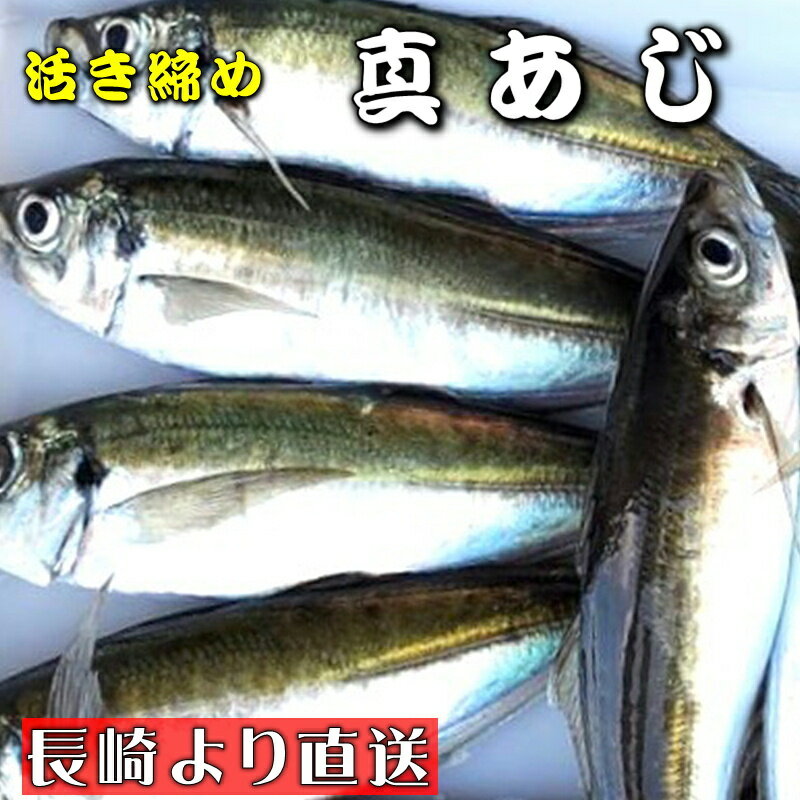 真あじ 活き締め 5尾入り（1尾400g） 養殖 刺身用　【 長崎養殖場より直送いたします 】　真鯵大型サイ..