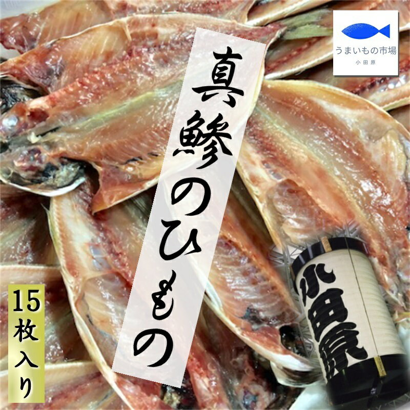 真あじ干物 15枚 (1枚100g)【小田原老舗大半の干物】