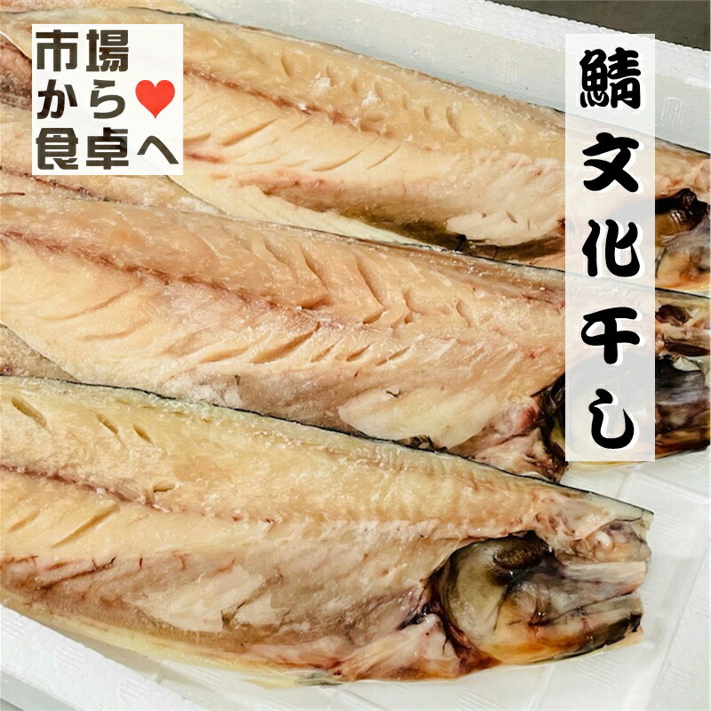 さば文化干し 鯖の干物 6枚(特大サイズ1枚当たり約170g)【小田原老舗 大半の干物】脂のっています【冷凍便】のサムネイル