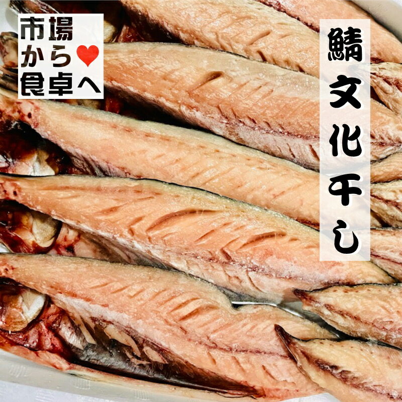 さば 文化干し12枚(1枚当たり約100〜120g) 鯖ひもの 【小田原老舗大半の干物】 脂のっています 【冷凍便】