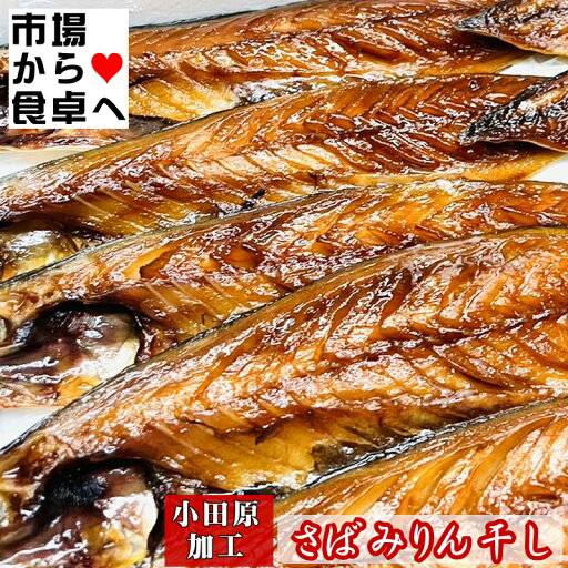 さばみりん干し 10枚(1枚約100g)【小田原老舗大半の干物】脂あります。味醂の風味が食欲をそそる【冷凍便】 さばみりん干し 10枚(1枚約100g)【小田原老舗大半の干物】脂あります。味醂の風味が食欲をそそる【冷凍便】