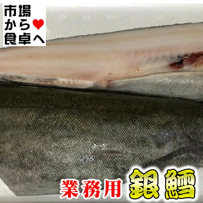 ぎんだら 銀鱈センターカット10kg(約30切れ入り)【銀鱈・業務用・脂あります】煮付け・焼物・お鍋・ムニエル・ホイル焼きに【冷凍便】