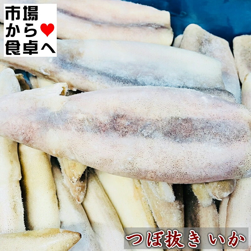 つぼ抜きいか 7.5kg 約50尾(1杯約150g)【はらわた無し...