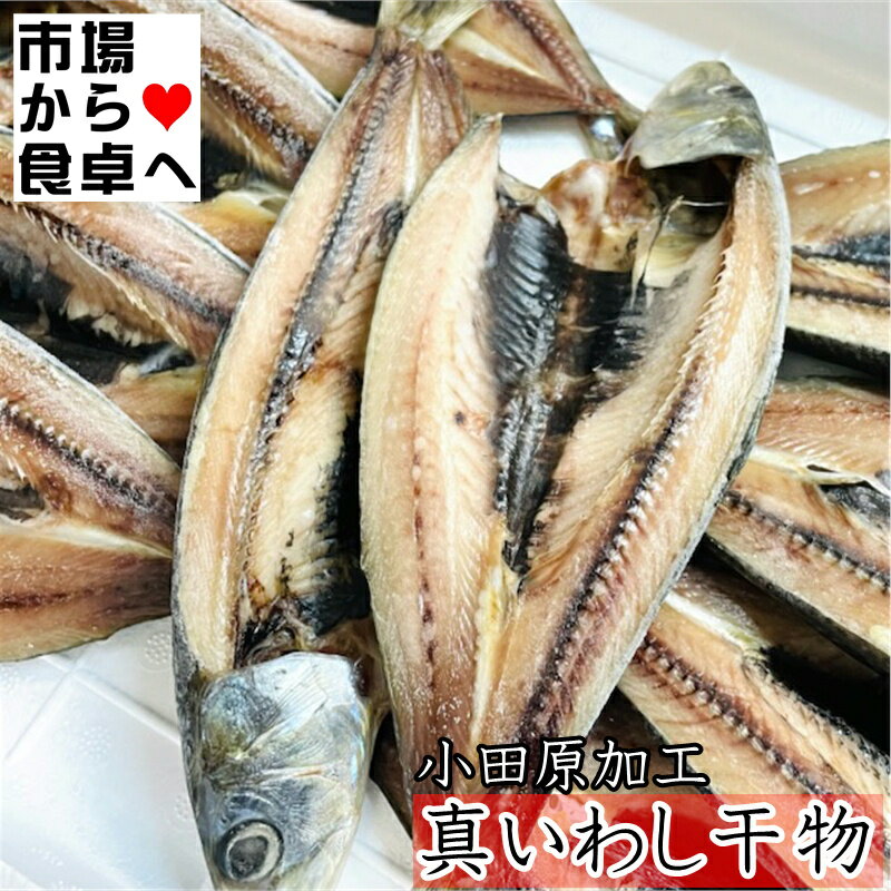 楽天うまいもの　楽天市場店真いわし干物　10枚入り【小田原ひもの・山市商店】国内産・小田原加工、自分の子供にも自信をもって食べさせています【冷凍便】