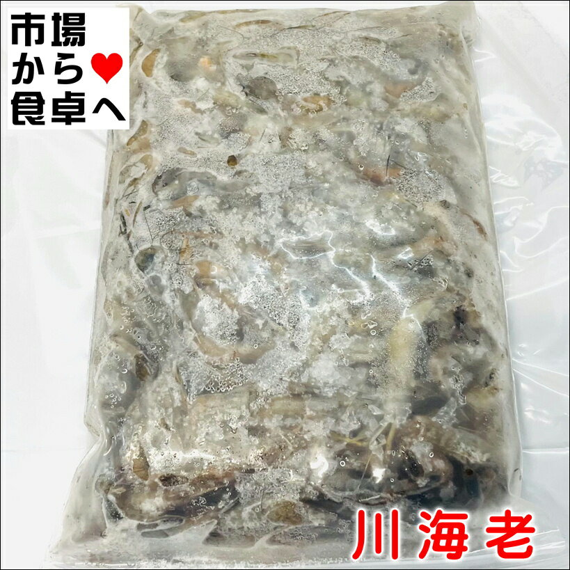 川エビ 5パック(1パック)500g【業務用川海老】居酒屋の定番メニュー、から揚げに【冷凍便】