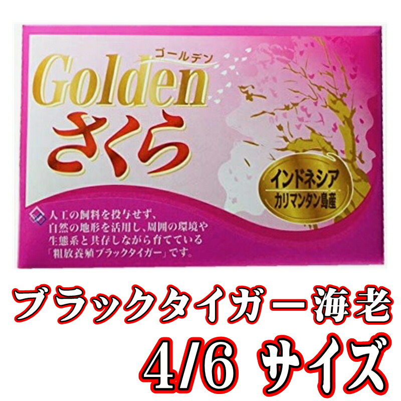 【ふるさと納税】活　鳥取県産タグ付き松葉ガニ中1枚(600g～700g)【配送不可地域：離島・北海道・沖縄県・東北・関東・信越、北陸・東海・九州】【1536361】