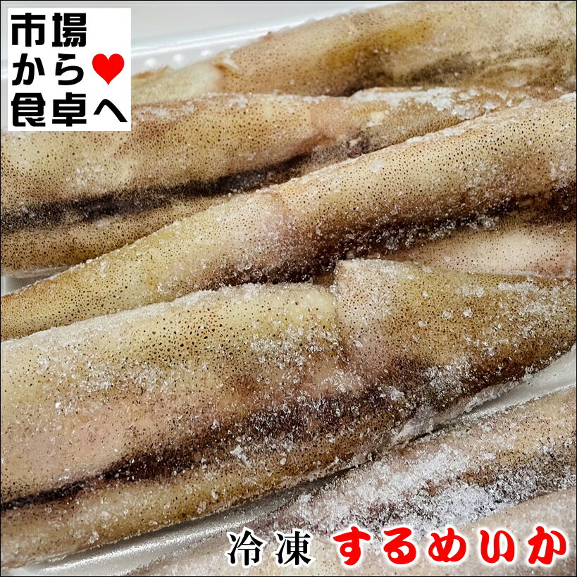するめいか (まついか) 5杯(約1kg)【加熱調理用・冷凍イカ】小型でやわらかいいかです。焼き物・煮物・揚げ物に【冷凍便】