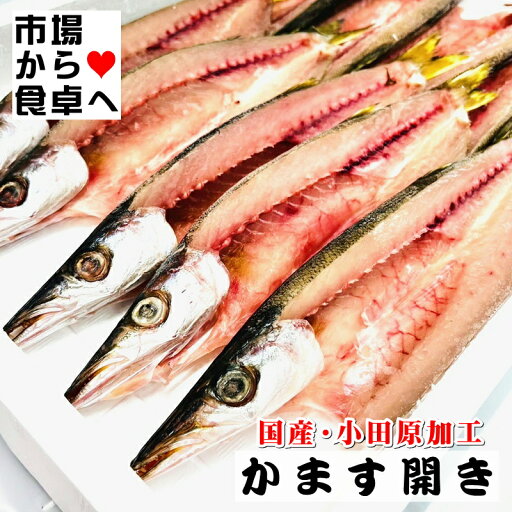かます干物 12枚(1枚約100g)【小田原老舗大半の干物】こだわりの手開き、地元でも愛され長く干物づくりを行っています【冷凍便】 かます干物 12枚(1枚約100g)【小田原老舗大半の干物】こだわりの手開き、地元でも愛され長く干物づくりを行っています【冷凍便】