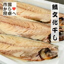 さば文化干し 鯖の干物 6枚(大サイズ1枚当たり約170g)【小田原老舗 大半の干物】脂のっています【冷凍便】