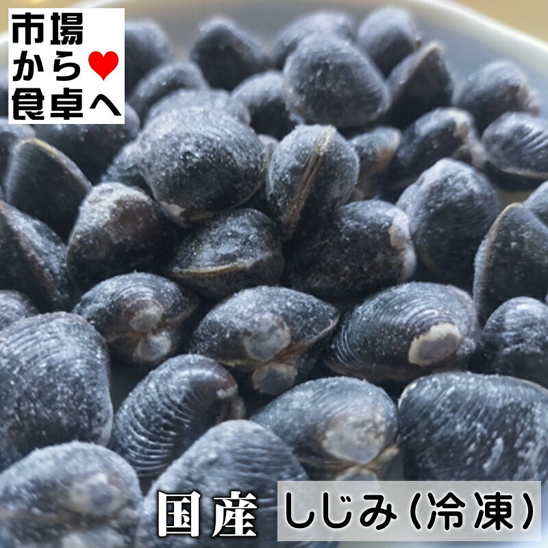 しじみ (冷凍) 5kg【国産蜆】いいダシ出ます。みそ汁などでおいしくいただけます【冷凍便】