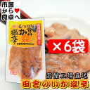 塩辛 田舎のいか塩辛 6袋(1袋120g入り)【新鮮ないかを函館で加工】塩辛の美味しさを知っている通好みの味【冷凍便F】