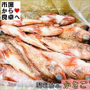 かさご アラカブ 5尾(1尾約170g)【セミドレス・エラ、ウロコ、内臓取り】煮付け・塩焼き・から揚げに【冷凍便(4)