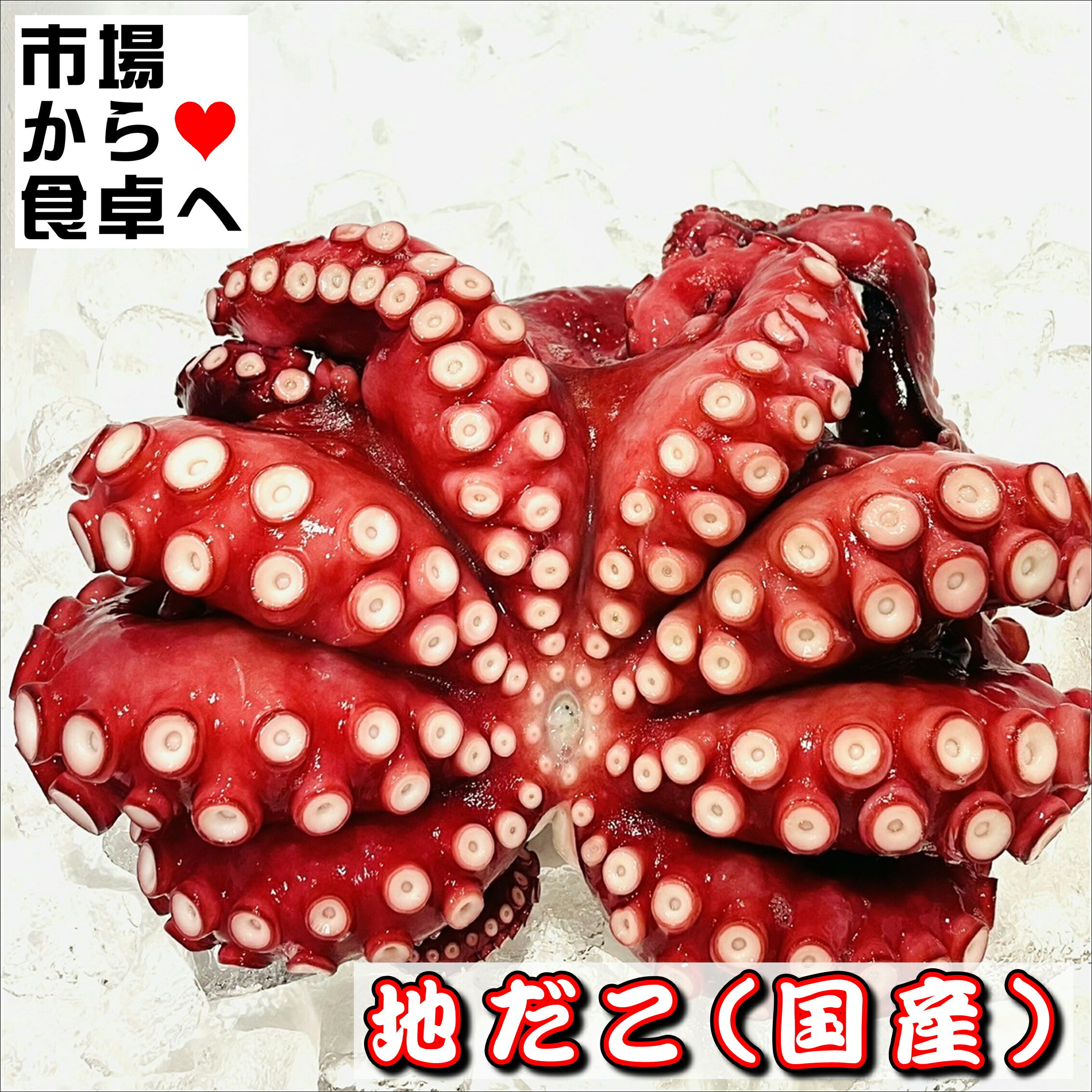 真蛸 (国産・冷凍) 1杯約1.2kg【ボイル地だこ】大型の国産たこ、食べ応えのあるサイズ【冷凍便】