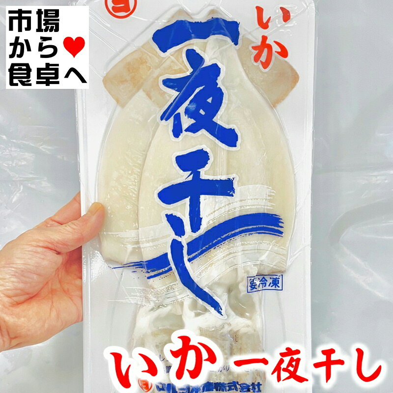 いか一夜干し 5パック(1パック2枚入り) 【 肉厚・美味しい 】おつまみ・炒め物・バター焼きなどでお召し上がりください 【冷凍便】 umaimono205-10003029 うまいもの 楽天市場店 サンプル画像3
