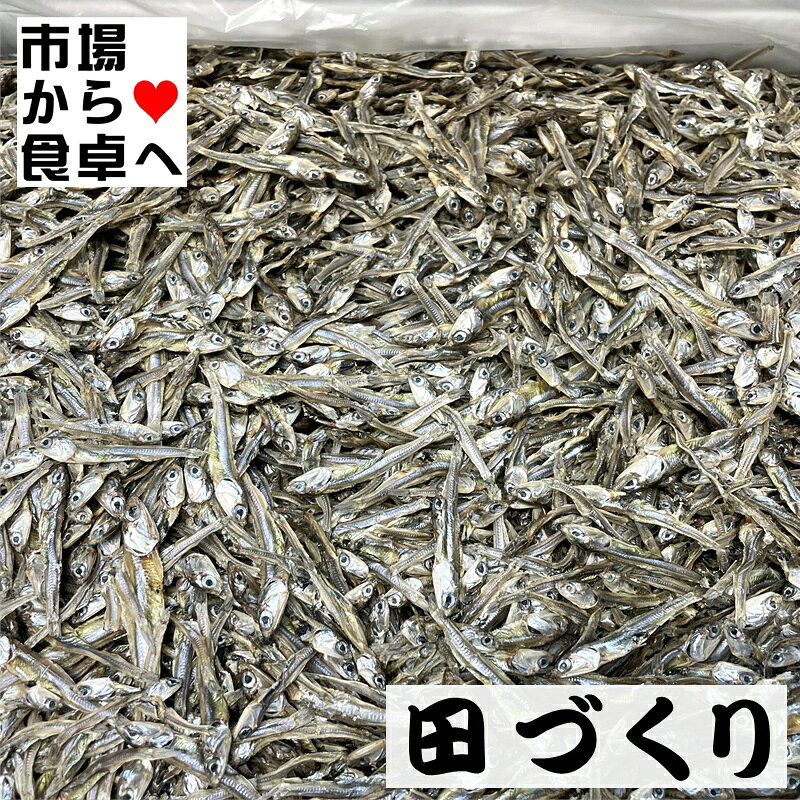 田作り (ごまめ) 300g 訳ありB品【 おせち料理・佃煮 】おせち料理にかかせません【常温便】 umaimono205-10002529 うまいもの 楽天市場店 サンプル画像2