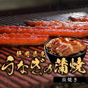 静岡県産 うなぎの蒲焼(長焼き)国産 鰻 浜名湖 タレ 山椒 付き 丑の日 ギフト 贈り物 お取り寄せ グルメ 送料無料 誕生日 記念日 プレゼント