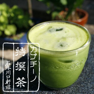 【プチギフト】ケース入りほっこり美味しい★抹茶ラテ★泡立つ 宇治抹茶カプチーノ 5本入メール便対応【AR】