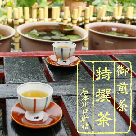 【煎茶】京都 宇治茶特上煎茶【万代】100g【...の紹介画像3