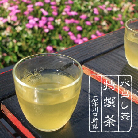 【免疫力アップ】水出し緑茶 100g『水出し』で免疫力 抵抗力アップハリオ水出しボトル に最適【AR】