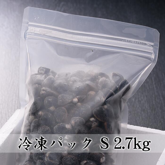 冷凍 送料無料 砂抜き済み 宍道湖産 しじみ 冷凍 Sサイズ 2.7kg(900g×3) 漁師直送 島根県 シジミ 味噌汁 用 蜆 汁 お吸い物 ヤマトシジミ 贈答 贈り物 国産 天然 ギフト オルニチン 亜鉛 クラムチャウダー 二日酔い 高級 お鍋 貝 産直 グルメ お取り寄せ 冷凍しじみ 大竹屋