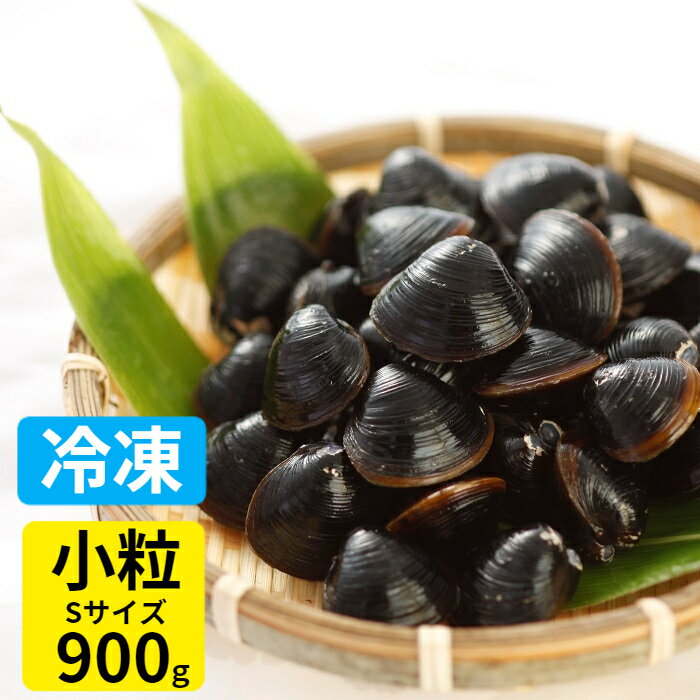 Freshwater Clam - しじみ 冷凍 送料無料 砂抜き済み 宍道湖産 Sサイズ 900g お取り寄せ 冷凍しじみ 漁師直送 島根県 シジミ 味噌汁 用 蜆 汁 お吸い物 ヤマトシジミ 贈答 贈り物 国産 天然 ギフト オルニチン 亜鉛 クラムチャウダー 二日酔い 高級 お鍋 貝 産直 グルメ 大竹屋