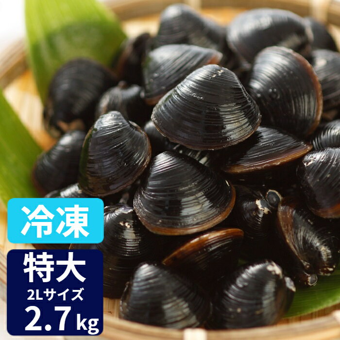 特大 冷凍 しじみ 送料無料 砂抜き済み 宍道湖産 2Lサイズ 2.7kg（900g×3） 漁師直送 島根県 シジミ 味噌汁 用 蜆 しじみ 汁 お吸い物 ヤマトシジミ 贈答 贈り物 国産 天然 ギフト オルニチン 亜鉛 クラムチャウダー 二日酔い 父の日 高級 お鍋 貝 産直 グルメ 大竹屋