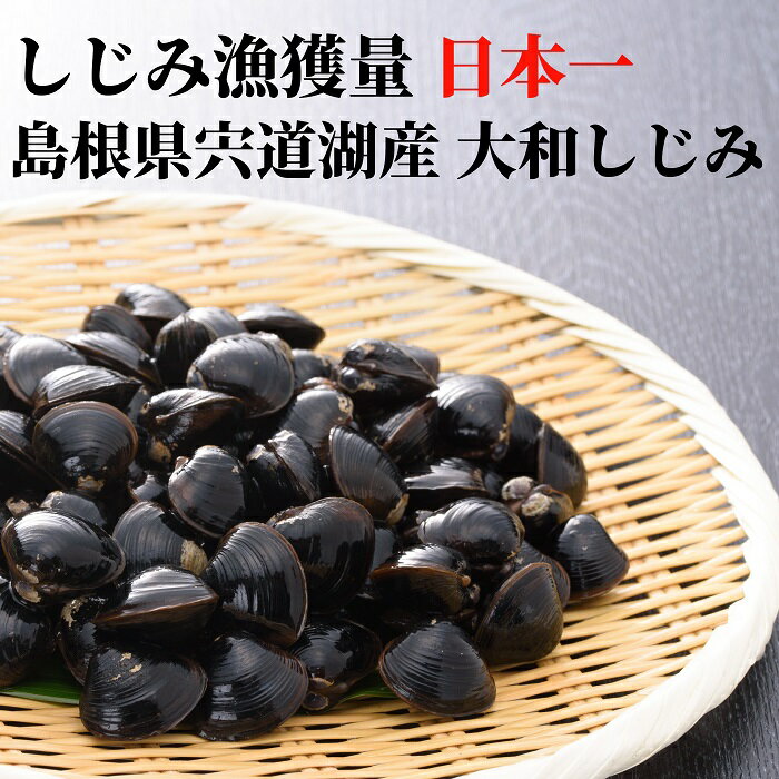 [お年賀・お年始ギフト]【塩引き鮭切り身 3切入×10点ギフトセット】程よい塩加減と鮭の最高の旨味をご堪能ください＜送料無料！＞