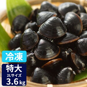 特大 冷凍 しじみ 送料無料 砂抜き済み 宍道湖産 2Lサイズ 3.6kg(900g×4) 漁師直送 島根県 シジミ 味噌汁 用 蜆 しじみ 汁 お吸い物 ヤマトシジミ 贈答 贈り物 国産 天然 ギフト オルニチン 亜鉛 クラムチャウダー 二日酔い 父の日 高級 お鍋 貝 産直 冷凍しじみ 大竹屋